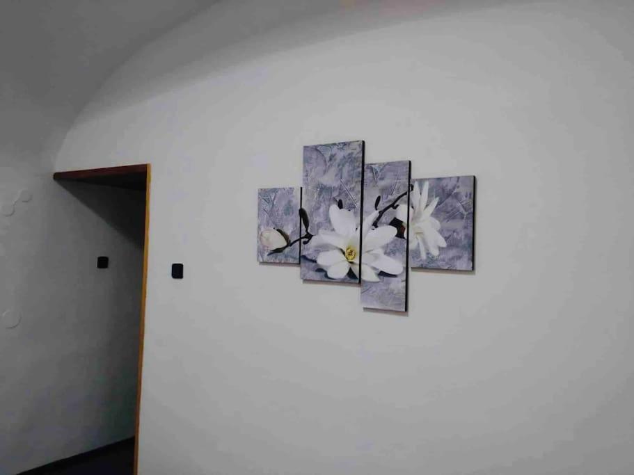 Appartamento K&p In The Center *